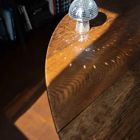 Premium 2-level On Rhine, Great Location דירה