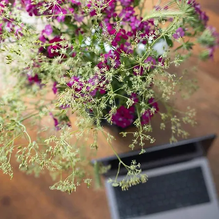 Premium 2-level On Rhine, Great Location דירה דיסבורג