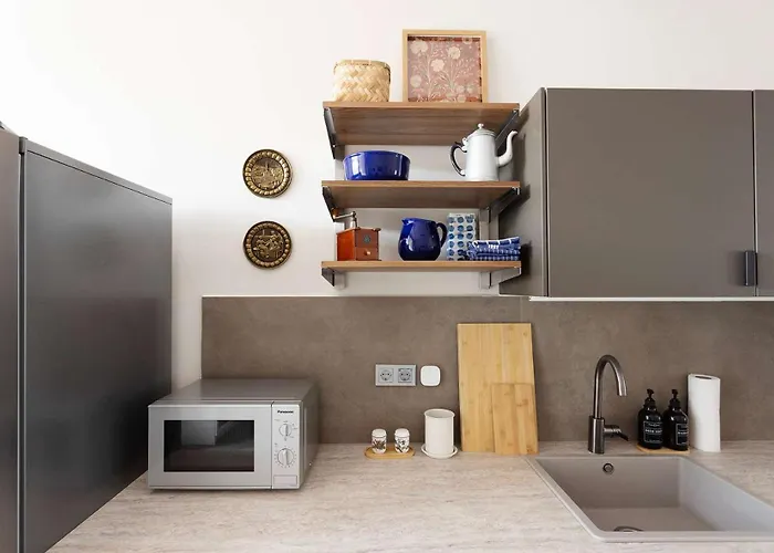 아파트 Premium 2-level On Rhine, Great Location *