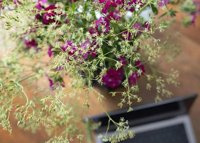 Premium 2-level On Rhine, Great Location 公寓 杜伊斯堡